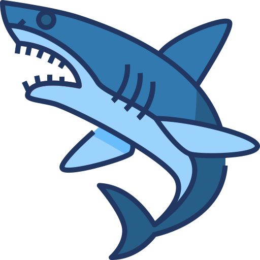 Wireshark